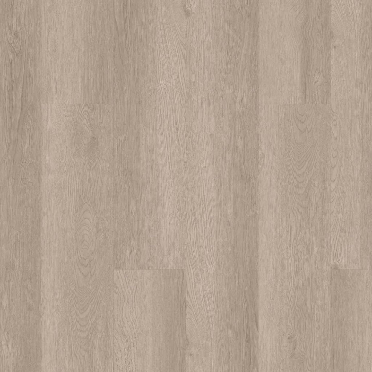 INFINITE SPC in Pampas Luxury Vinyl