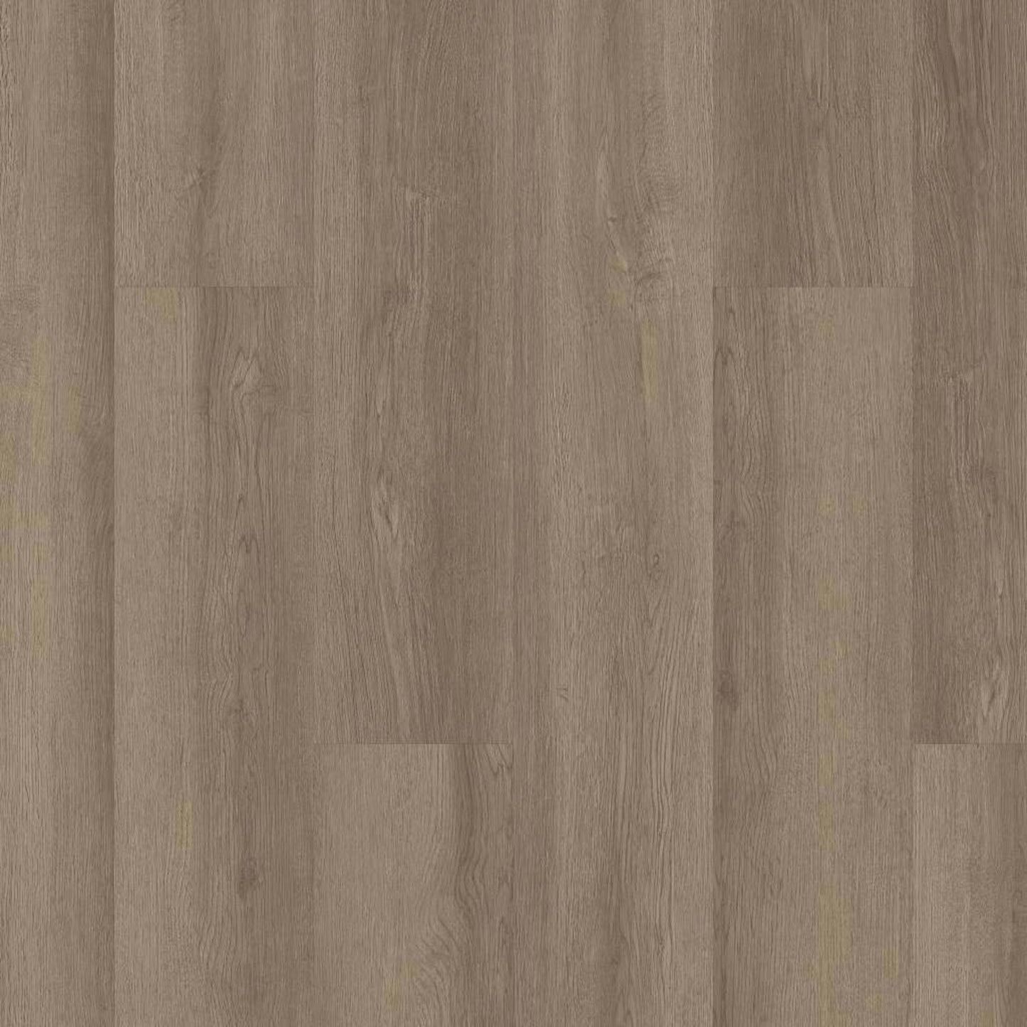 INFINITE SPC in Vista Luxury Vinyl