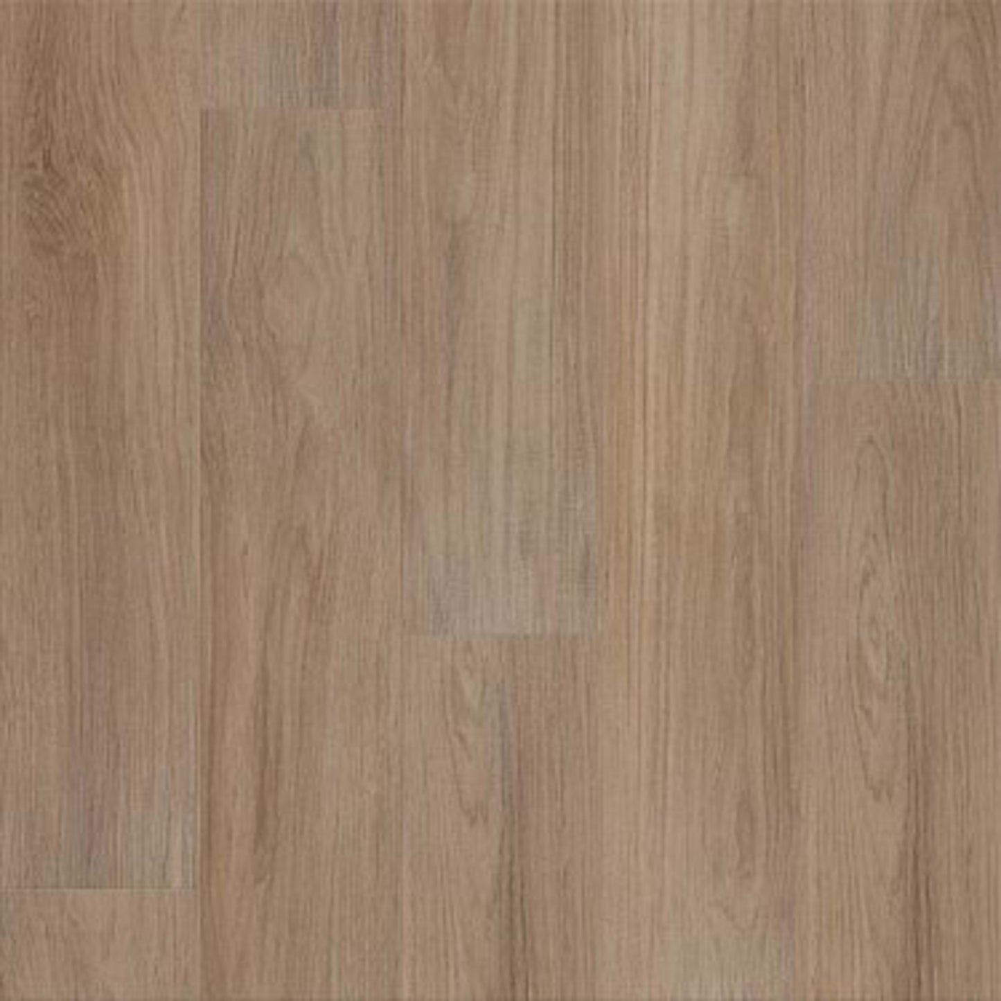 DISTINCTION PLUS in Hazelnut Brown Luxury Vinyl