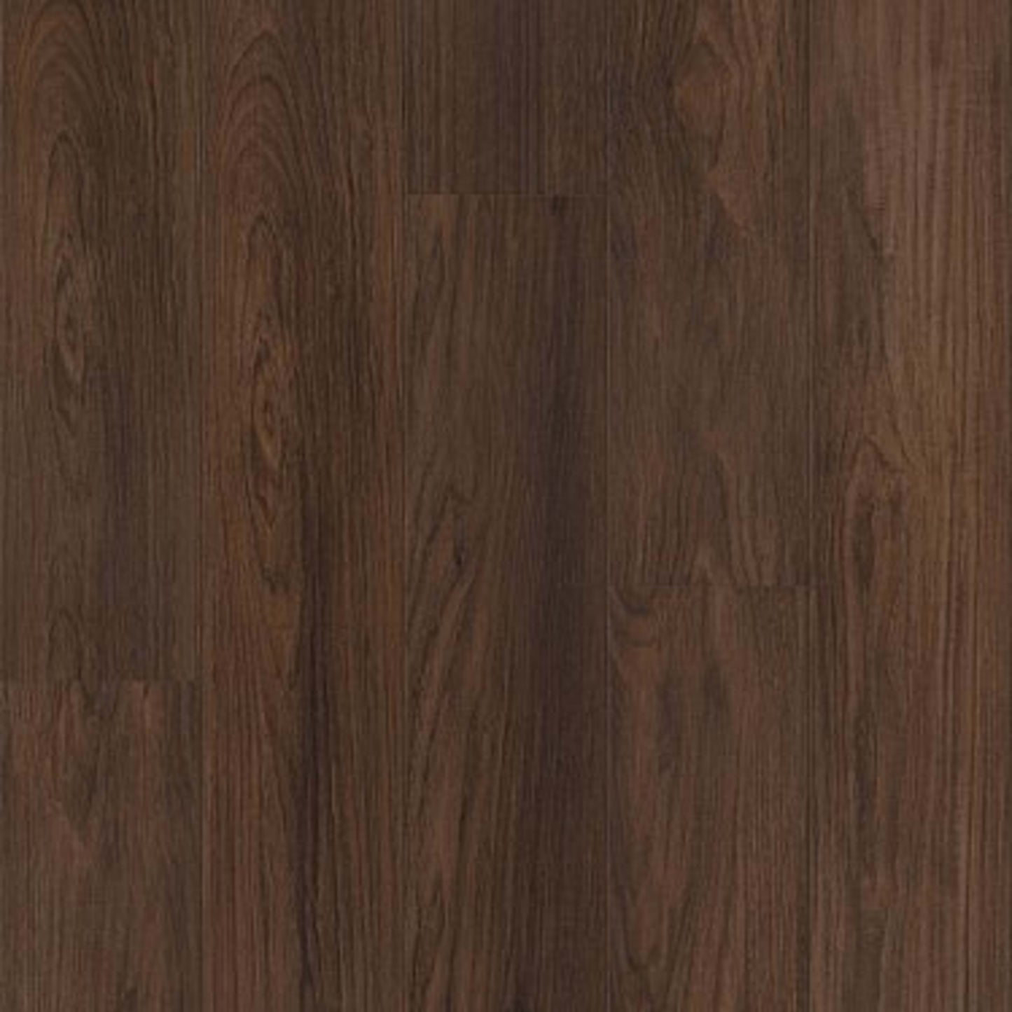 DISTINCTION PLUS in Burnt Umber Luxury Vinyl
