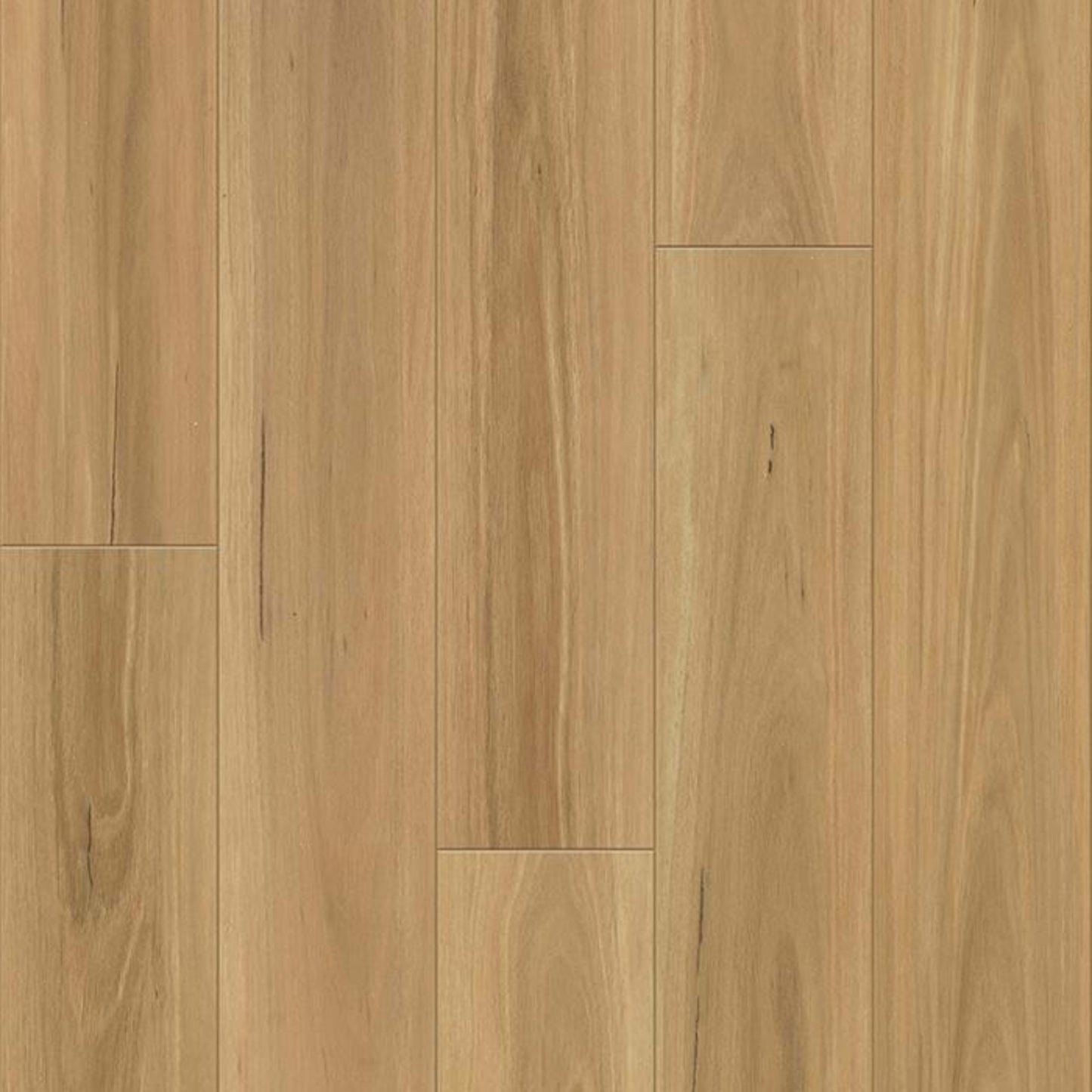 DISTINCTION PLUS in Eucalyptus Luxury Vinyl