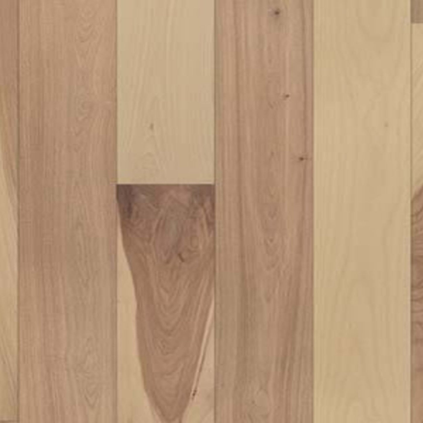 Compass Point in Riviera 4.25" Hardwood