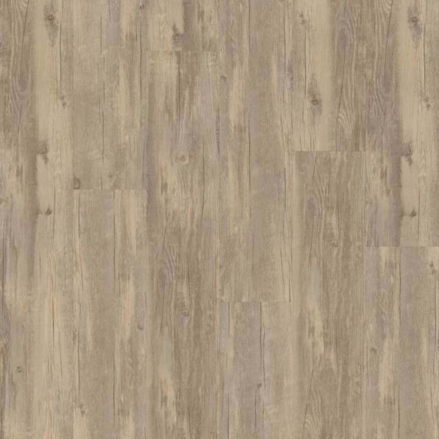 PARAMOUNT 512C PLUS in Wheat Oak Luxury Vinyl