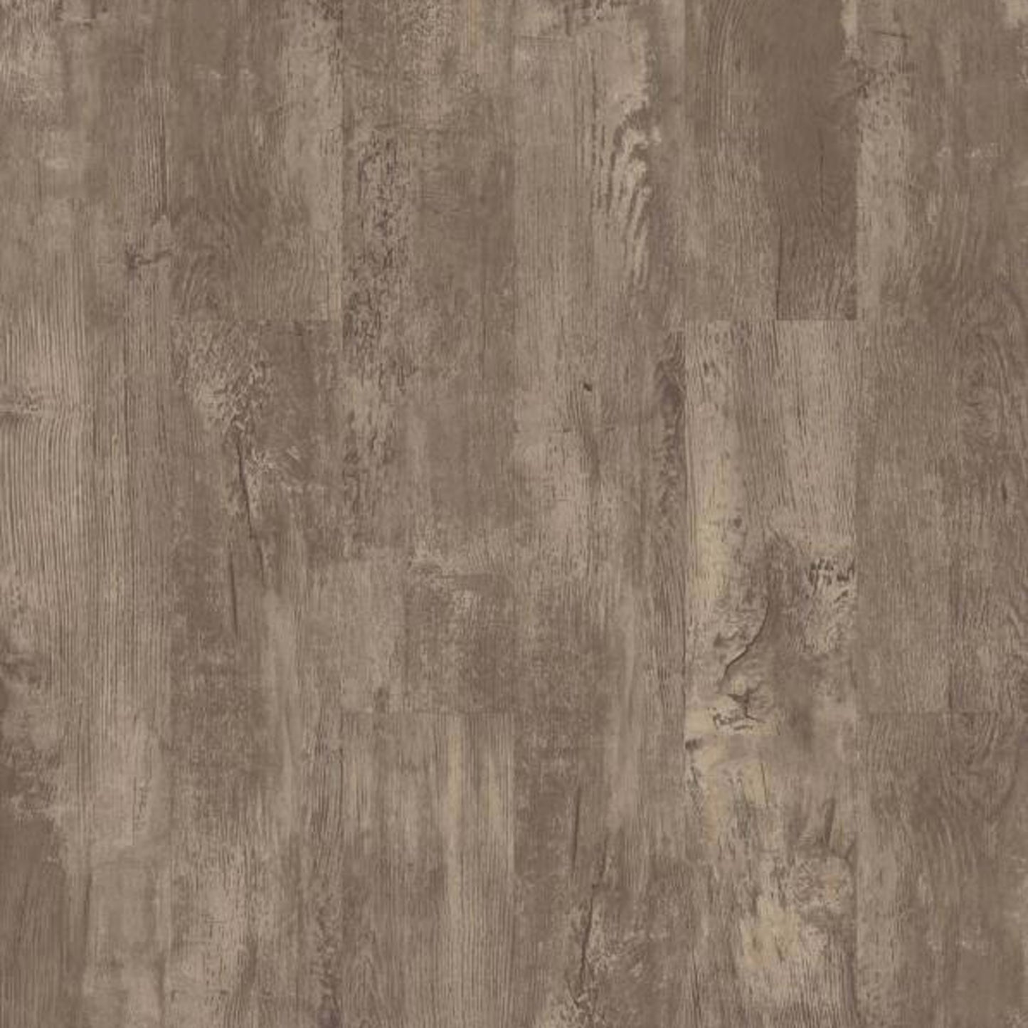 PARAMOUNT 512C PLUS in Jade Oak Luxury Vinyl