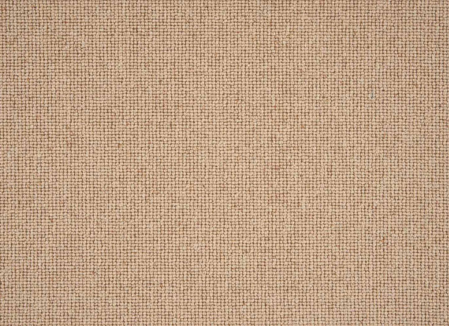 Sahara Broadloom