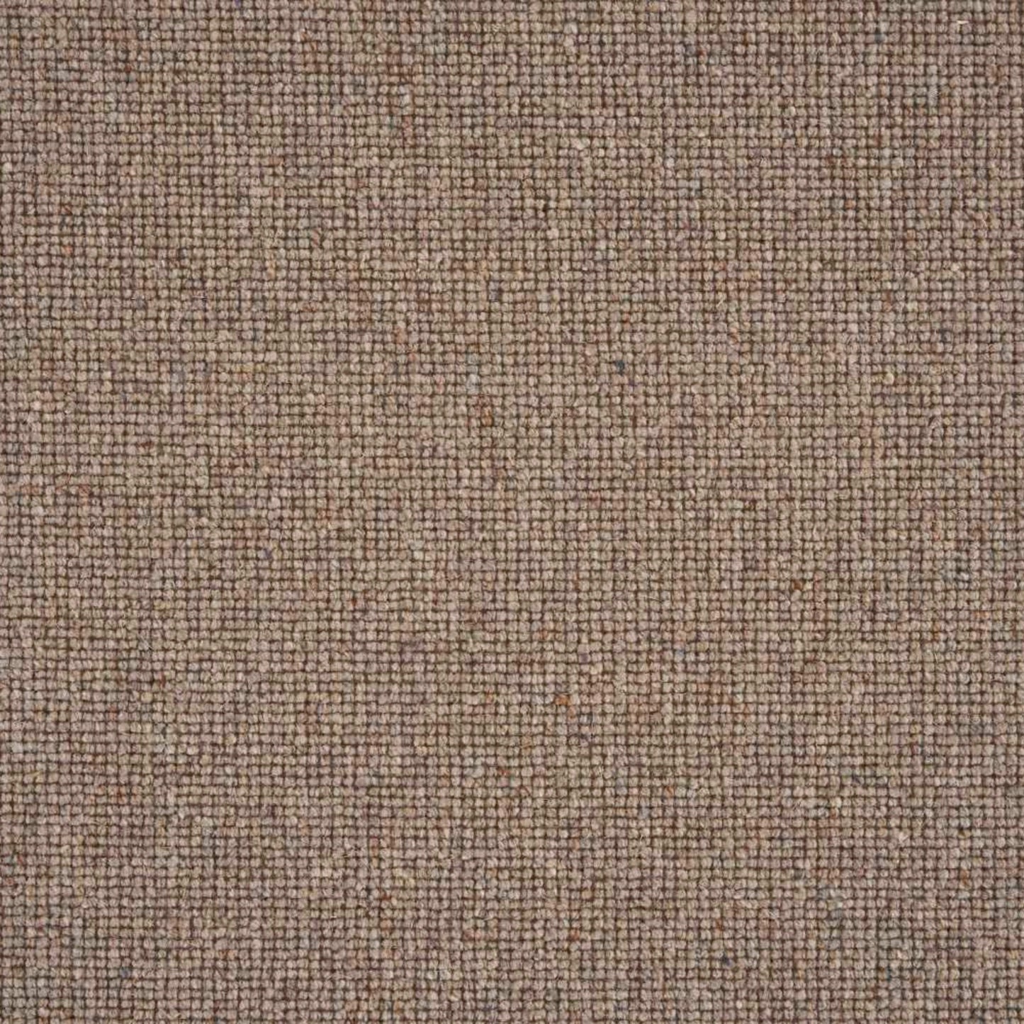 Sahara Broadloom
