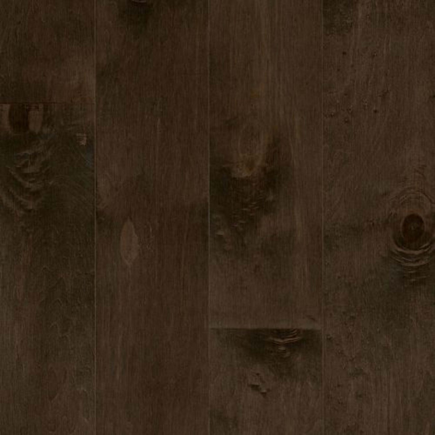 Early Canterbury Maple Engineered in Gauntlet 6-1/2" Hardwood