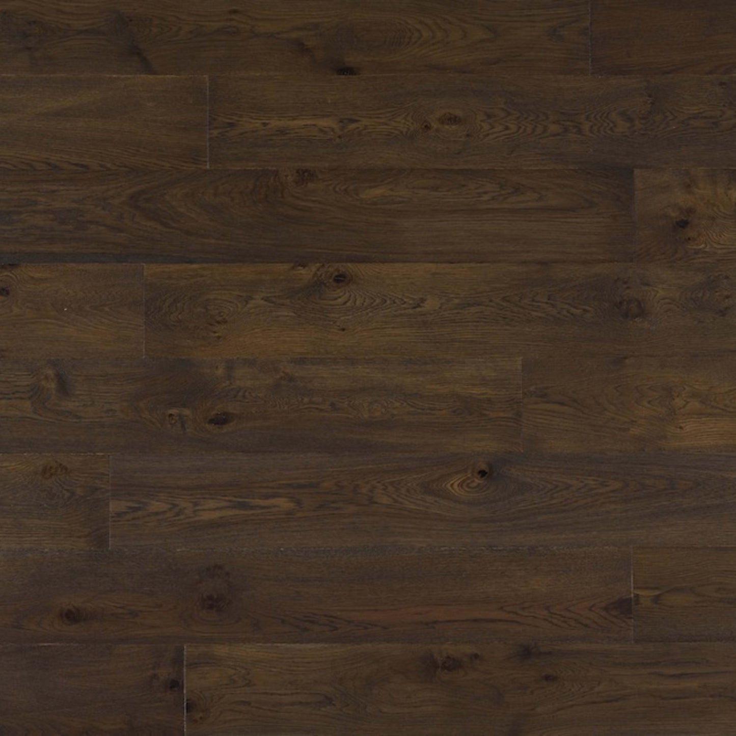 Genesis in Kaaterskill Hardwood