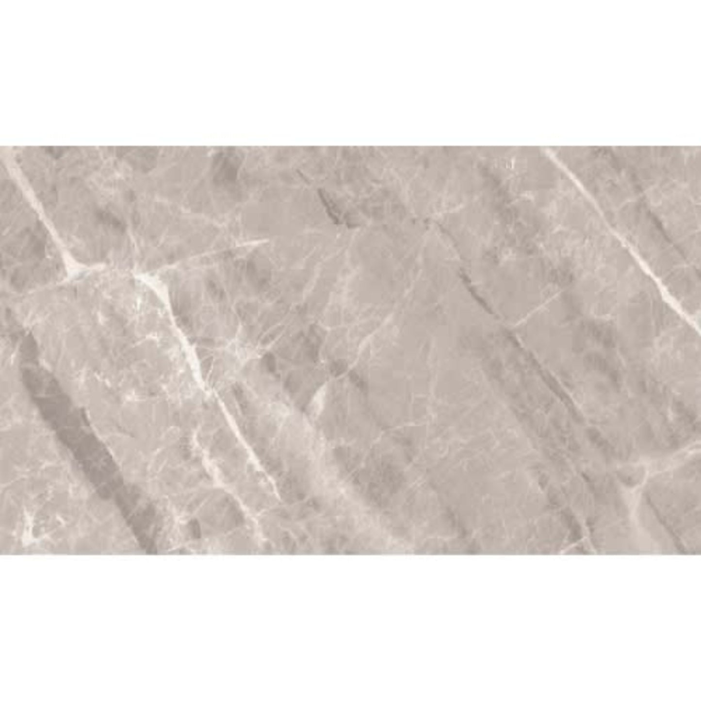 Nambia in Taupe Polished Tile