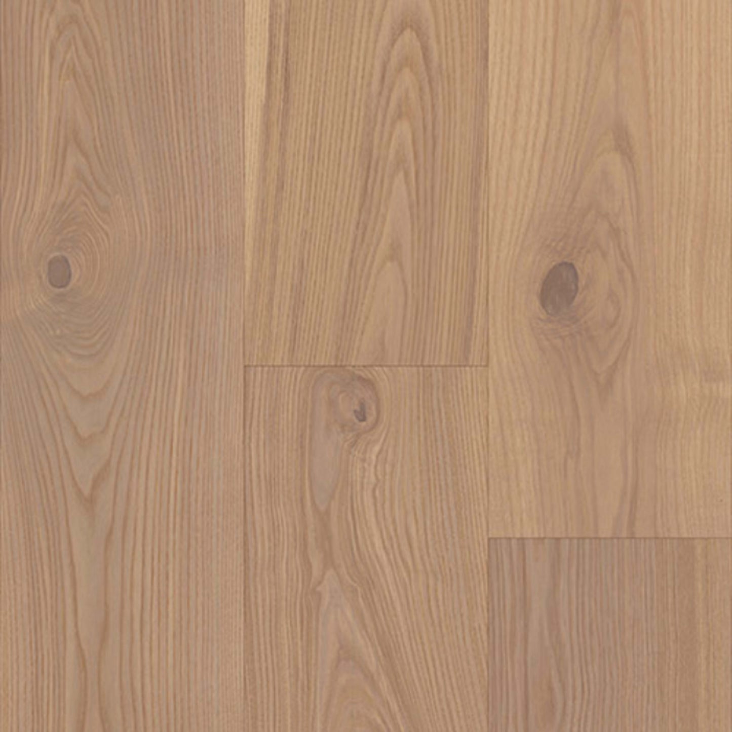 Relic in Torino Hardwood