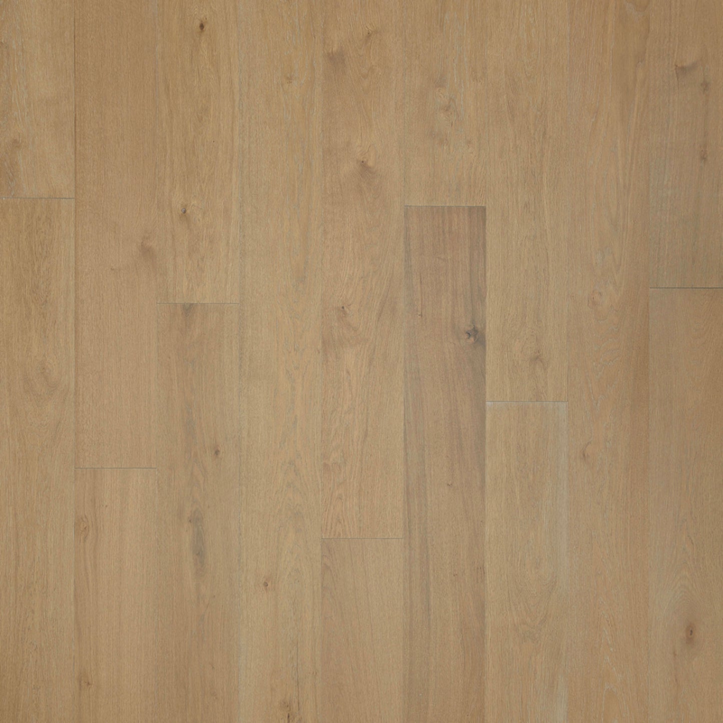 Crosby Cove in Parchment Oak Hardwood