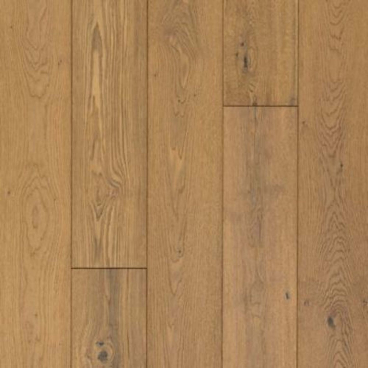 Seaside Tides in Topsail Oak Hardwood