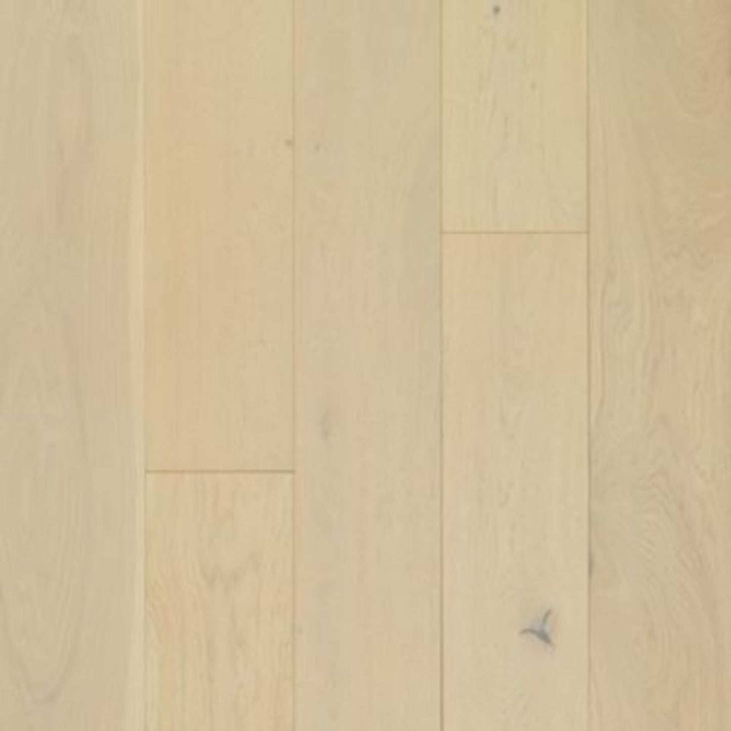Coral Shores in Tidal Oak Hardwood