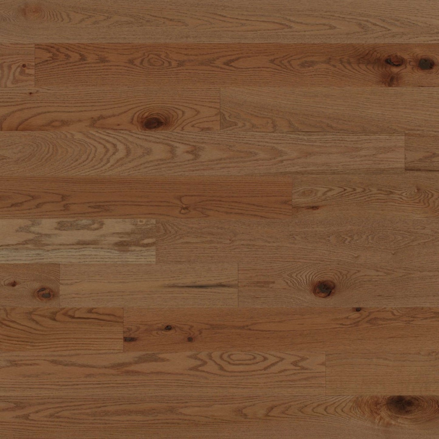 Escape Engineered - Red Oak in Carmel - 3" Hardwood