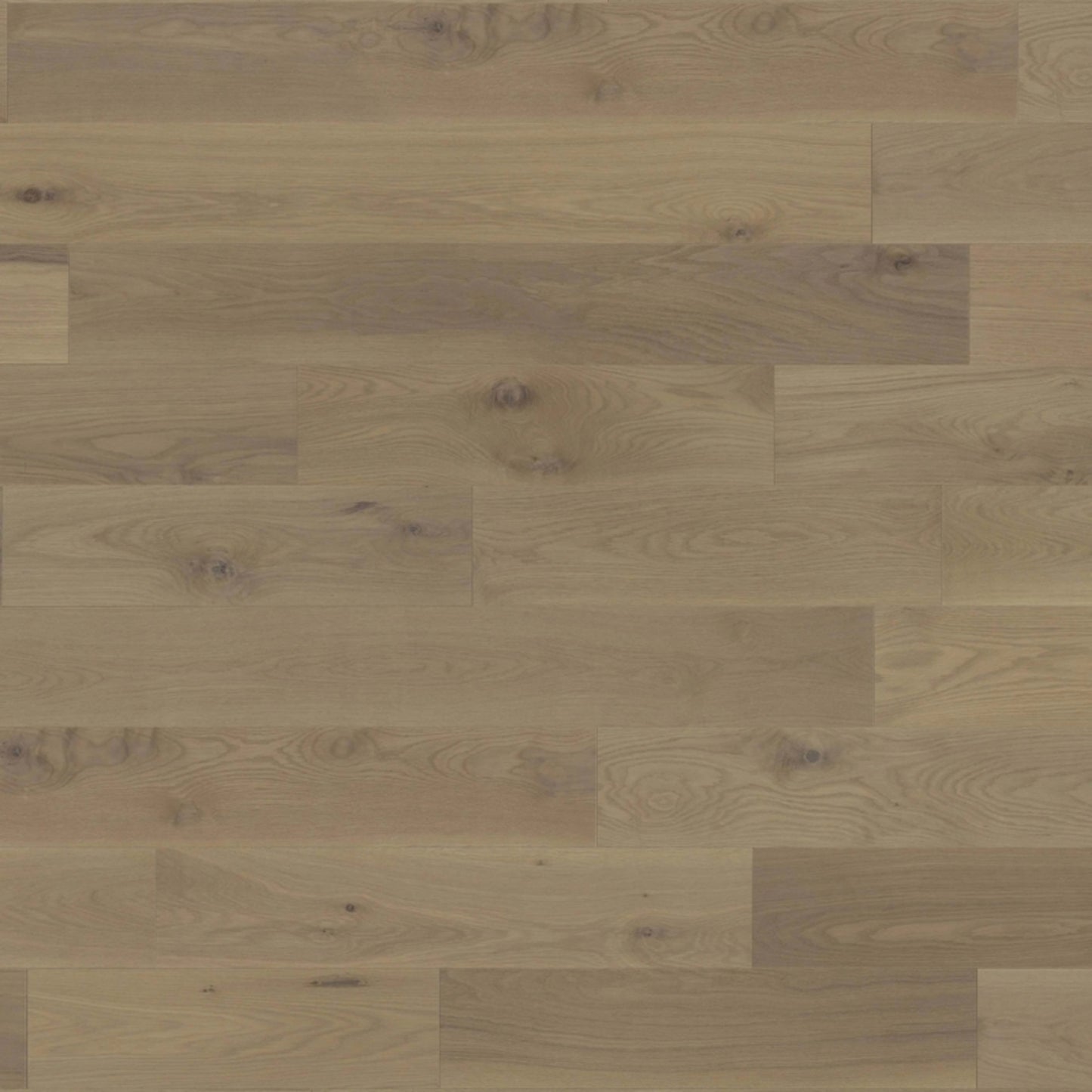 Muse - White Oak in Maud 7'' Hardwood