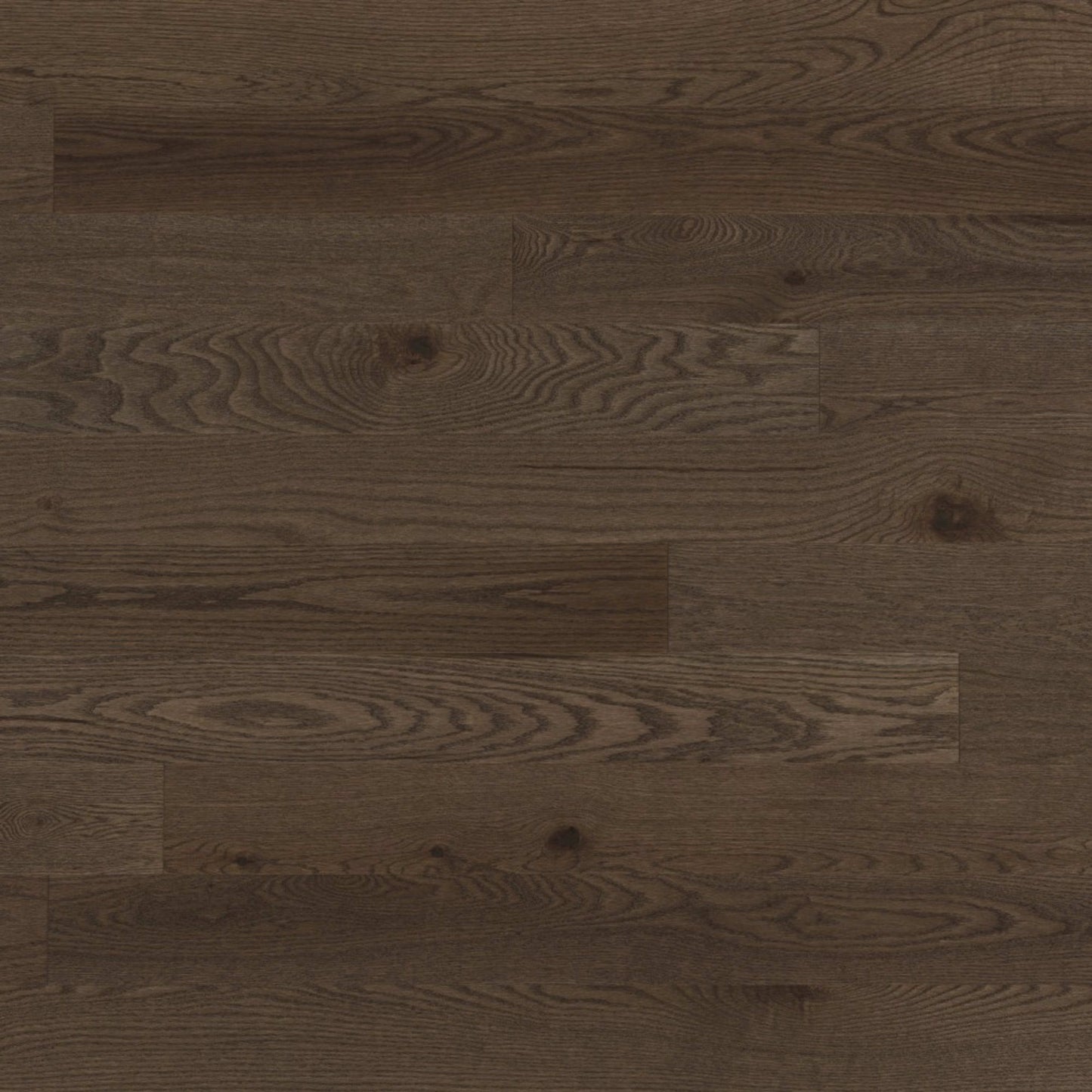 Escape Engineered - Red Oak in New Haven - 3" Hardwood