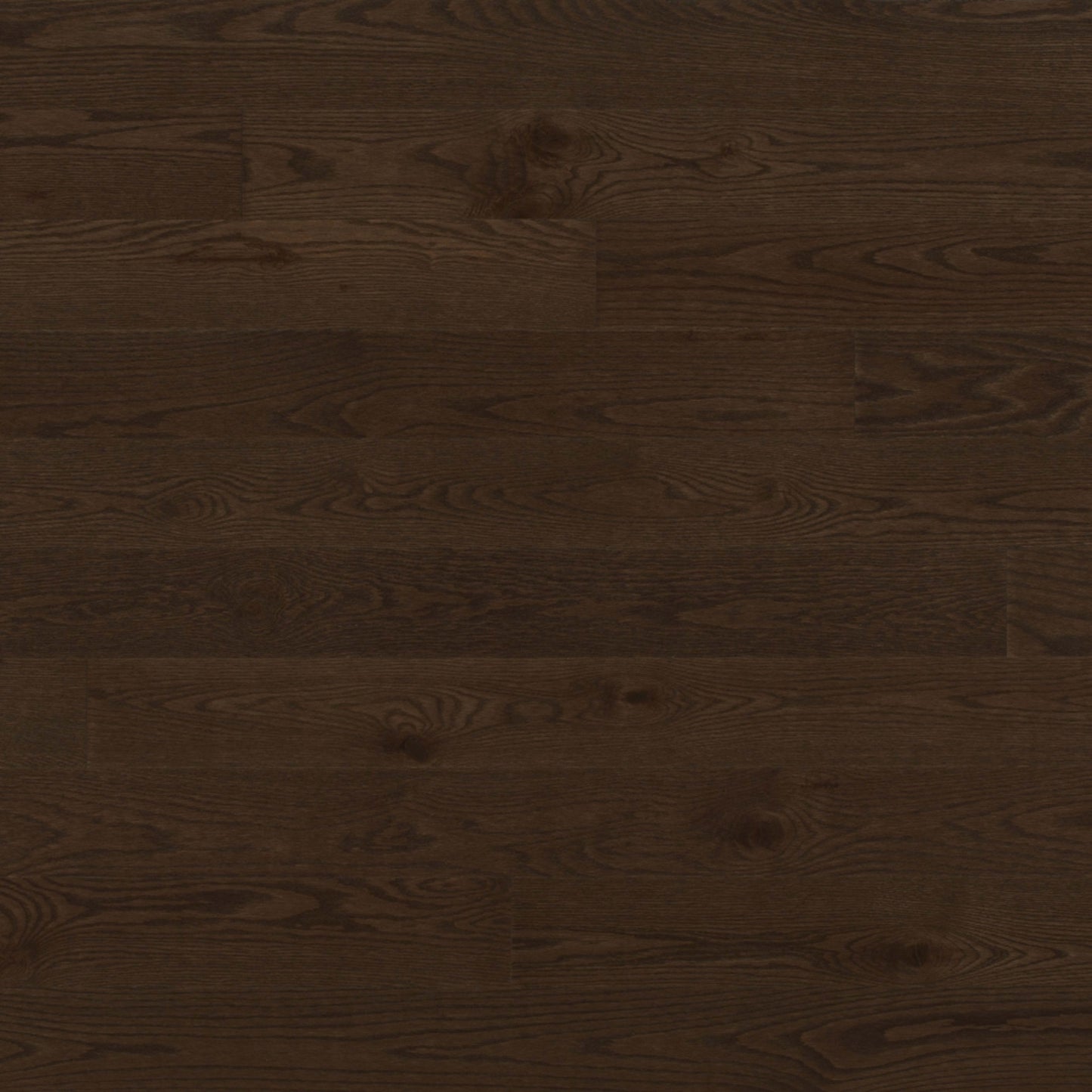 Escape Engineered - Red Oak in Providence - 5" Hardwood
