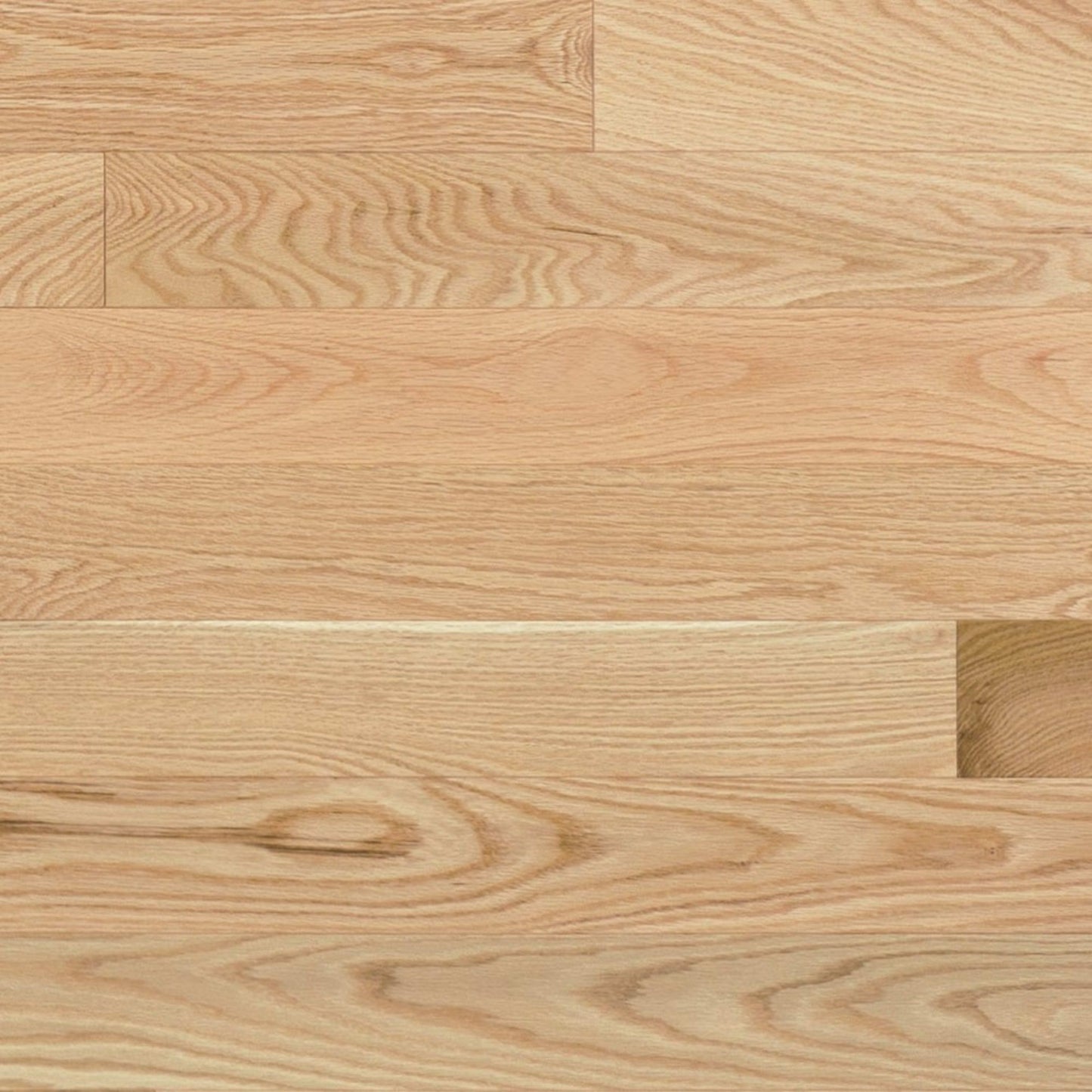 Natural - Cashmere in Red Oak - 6 1/2" Exclusive Smooth Hardwood