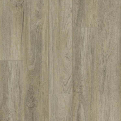 PANTHEON HD PLUS in Pisa Luxury Vinyl