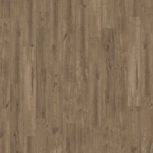 ADURAFlex - Coventry in Forest Luxury Vinyl