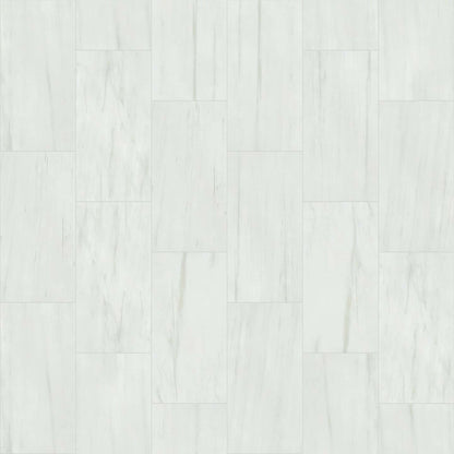 VISION 12X24 POLISH in Bianco Tile