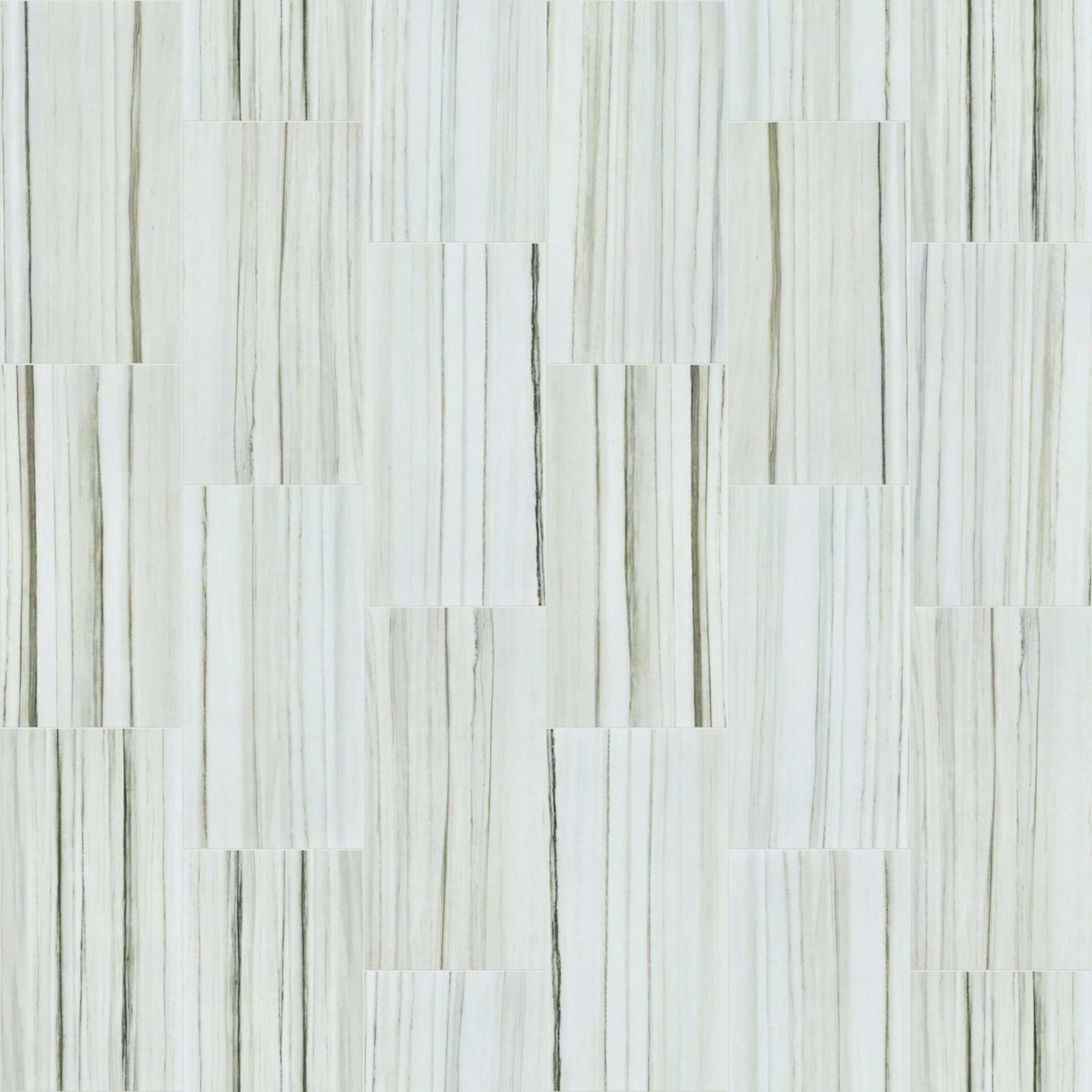 VISION 12X24 POLISH in Zebrino Tile