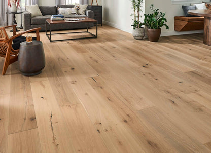 Latitude Collection - Sanctuary in Fresh Air